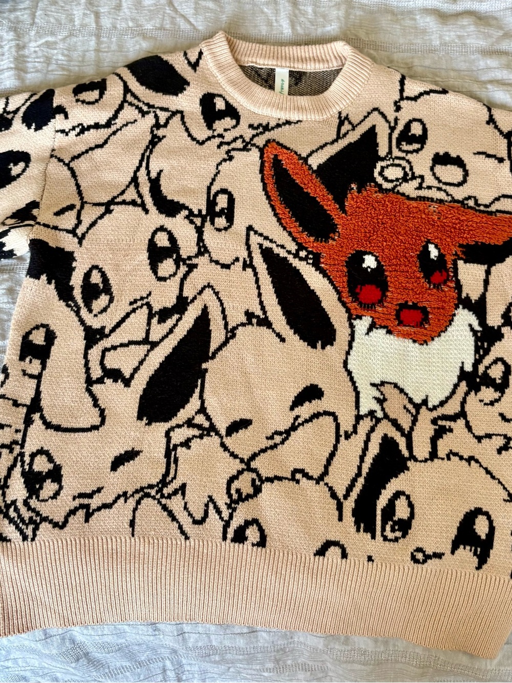 Pokémon Eevee Sweater